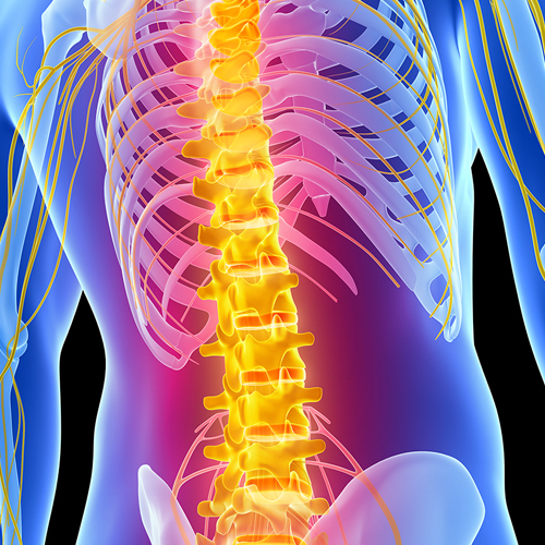 chiropractic care spine