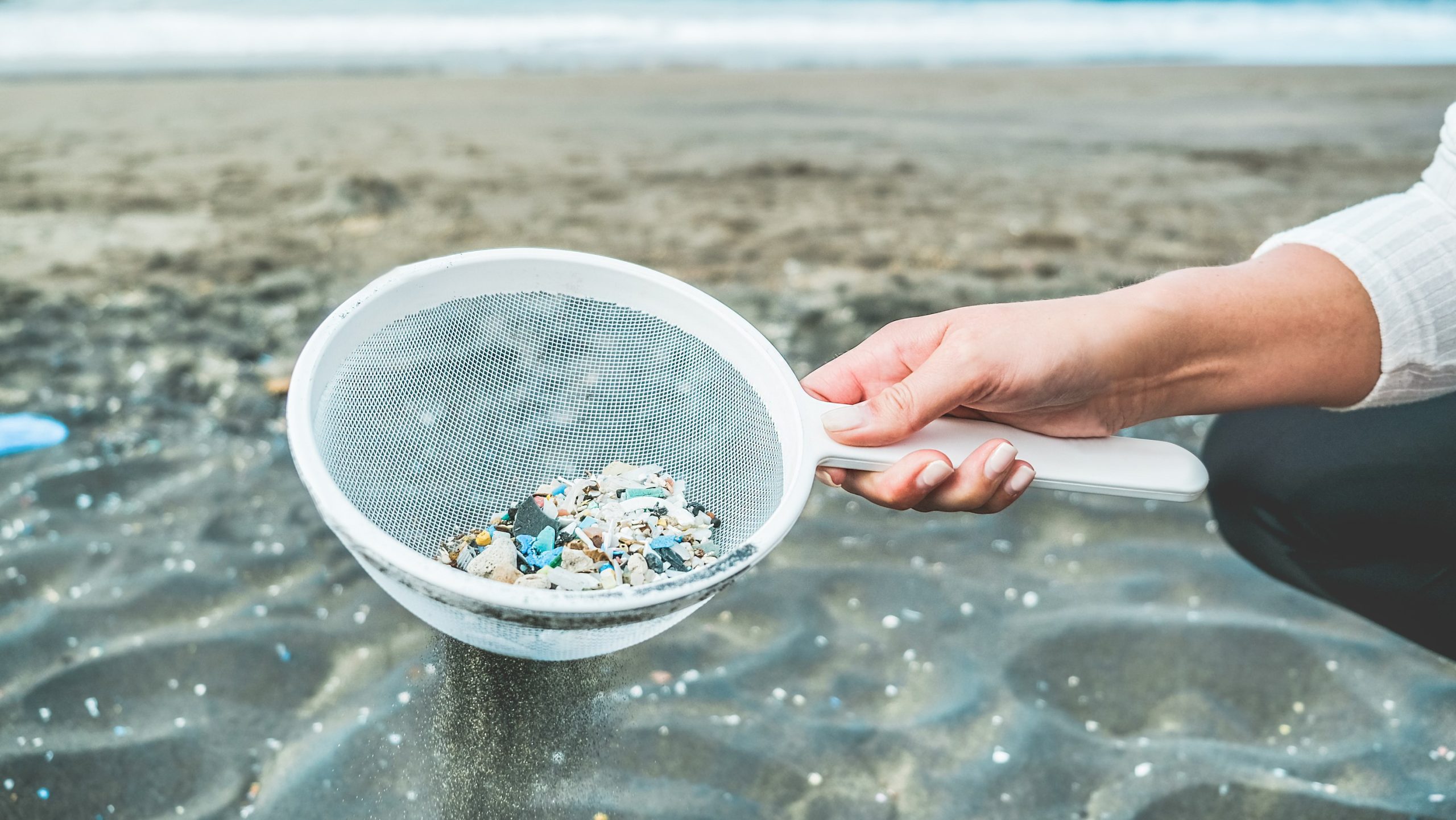 microplastics found in the ocean