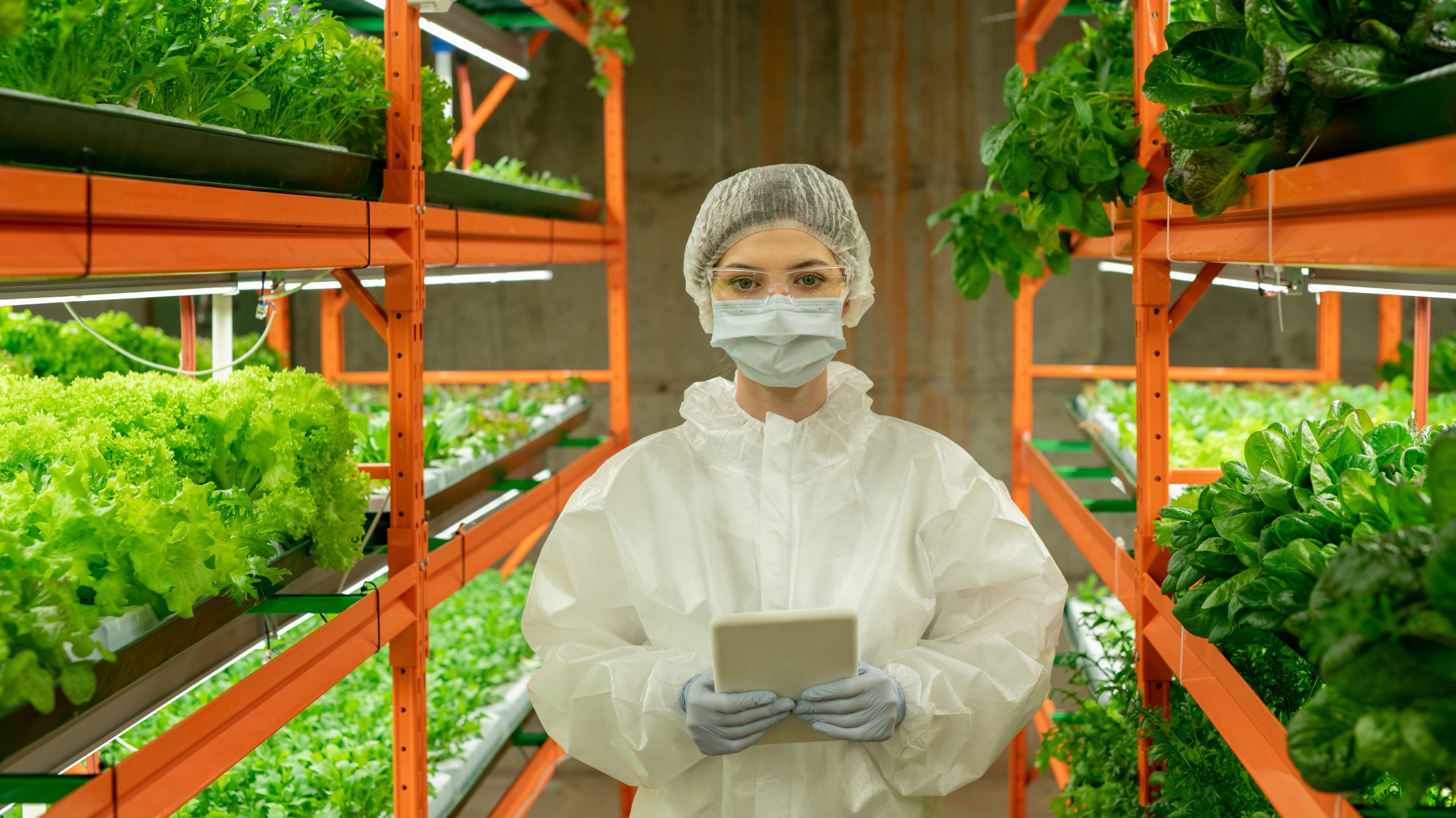 Big Pharmaceutical employee studying agriculture and food inside a greenhouse