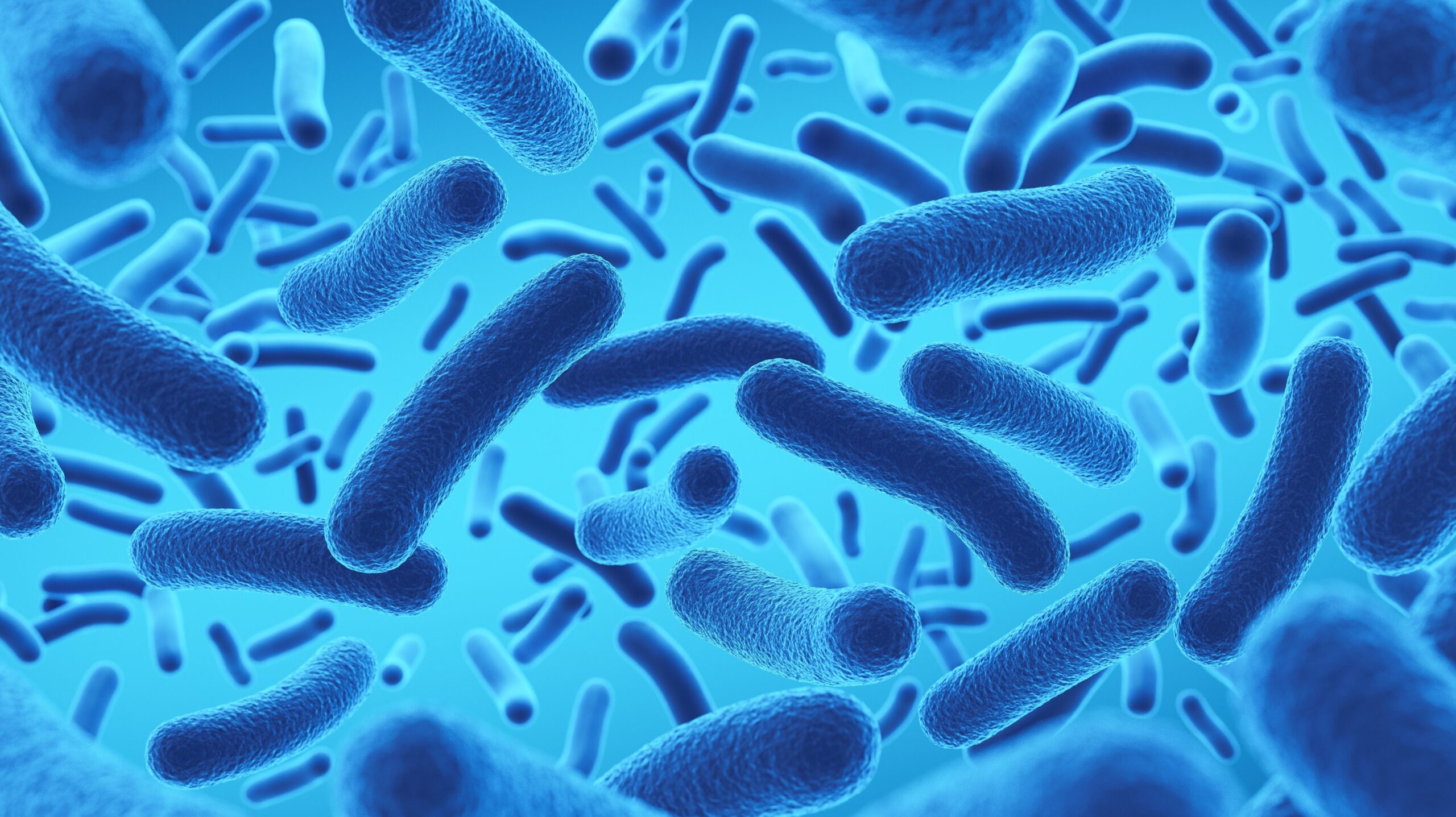 Butyrate — The Gut-Brain Axis Connector That Influences Mood and Cognition