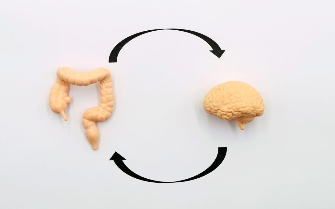 Gut Microbes Influence How You Handle Stress