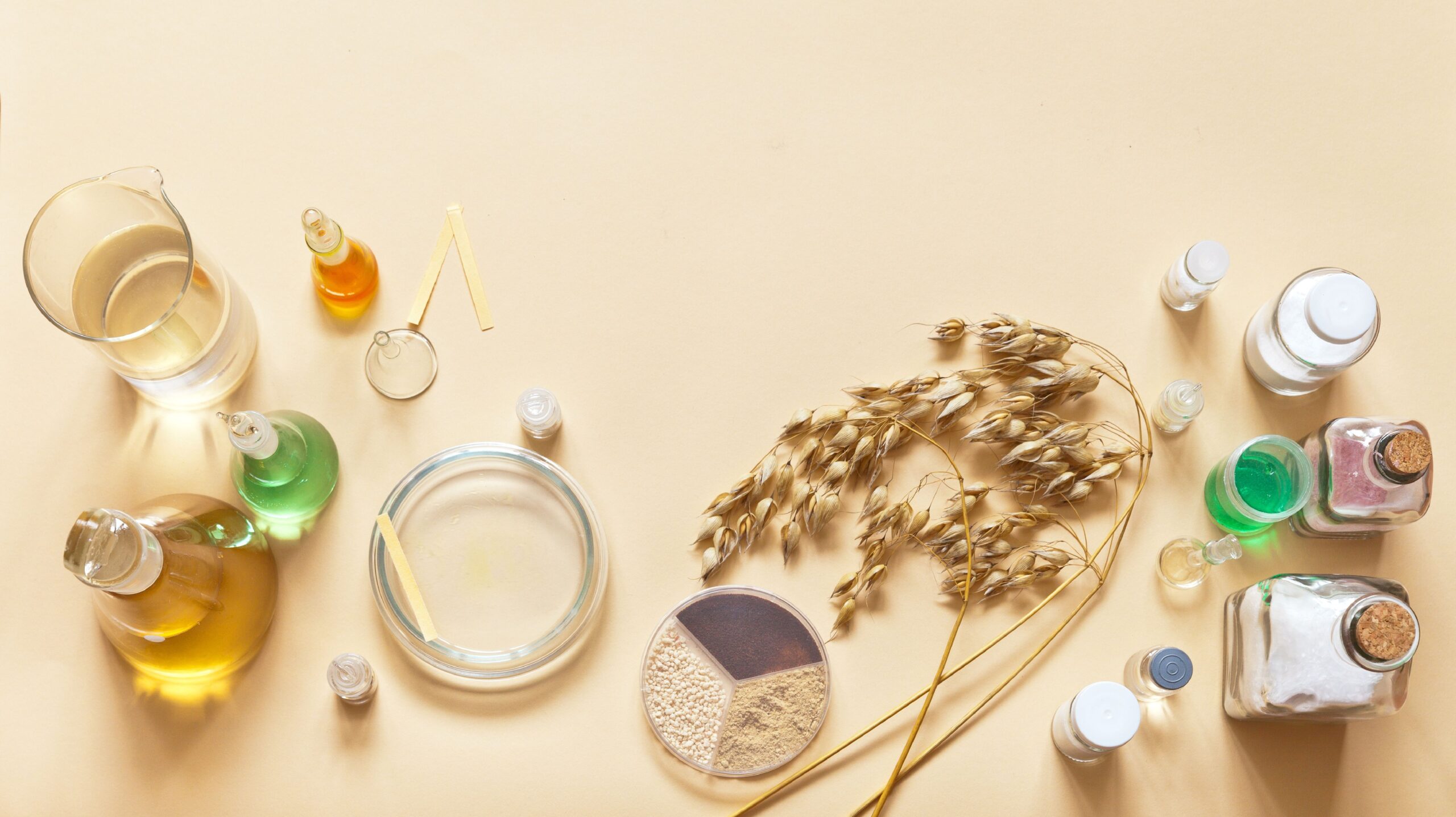 Fiber Found in Everyday Foods Helps Remove Forever Chemicals from Your Body