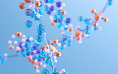 Linoleic Acid, Mitochondria, Gut Microbiome, and Metabolic Health — A Mechanistic Review