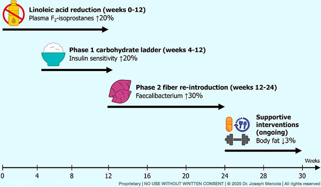 Linoleic acid over the course of 30 weeks, Historical Rise of Cancer and Dietary Linoleic Acid