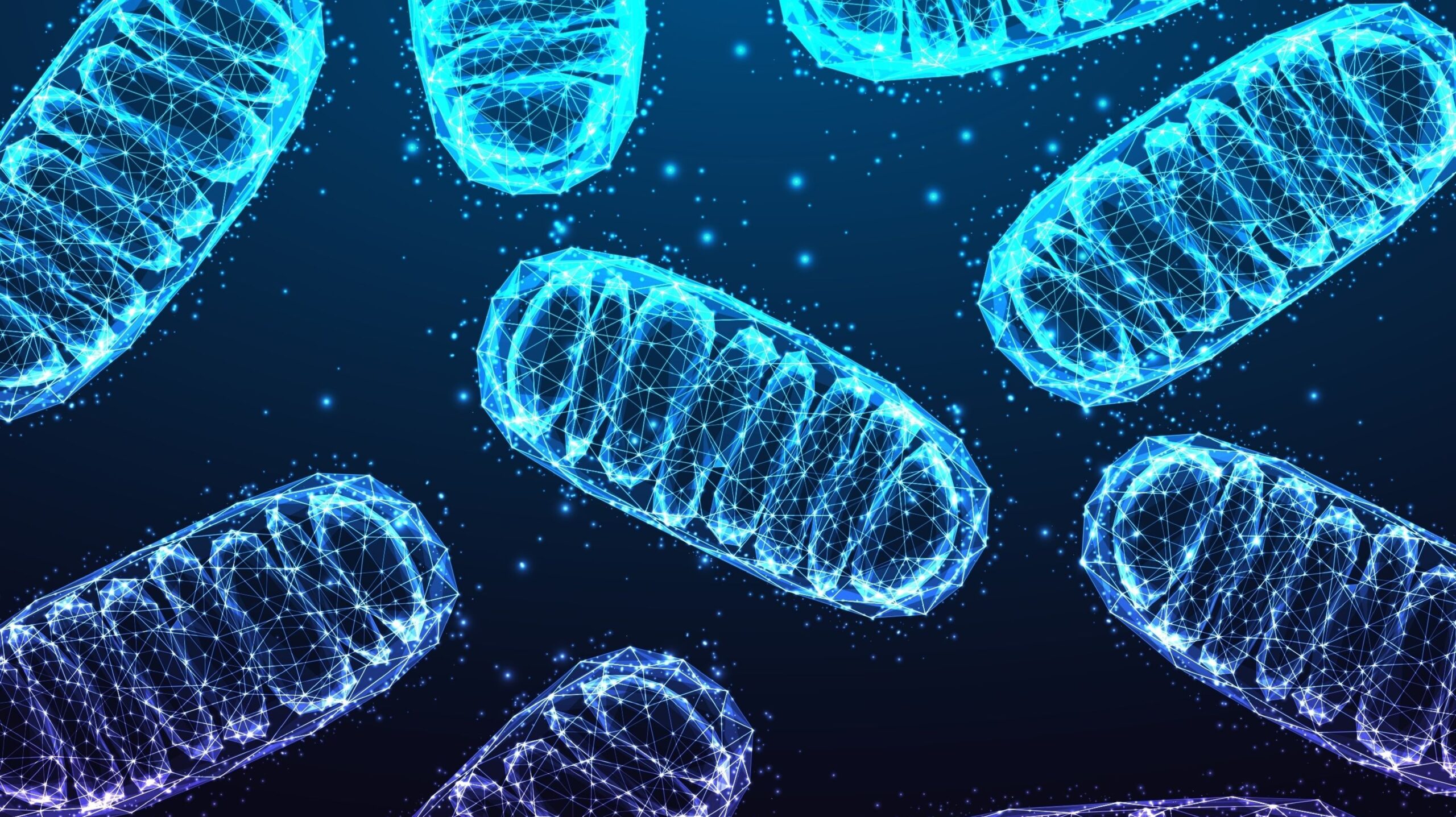 Microplastics Trigger Mitochondrial Stress in Human Liver Cells