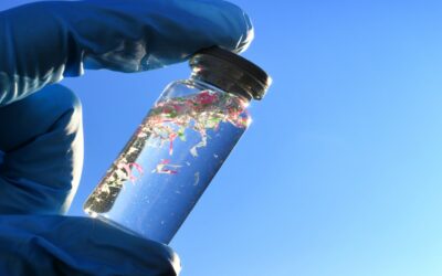 Evidence Links Microplastics to Chronic Disease