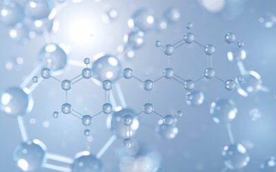 Fisetin — An Unsung Hero in the Fight Against Vascular Calcification